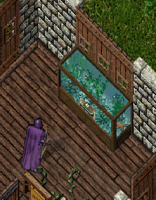 cM68W6T.png