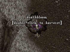 6xaQ9Nr.png