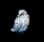 snowyowl.gif