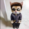 DiscordCat
