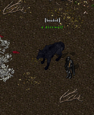 znhTXNV.png