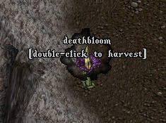 6xaQ9Nr.png