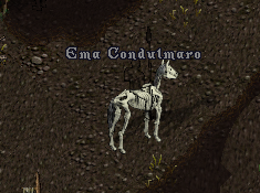 Hp98yrH.png