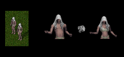 shroudedveil.png