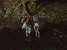zrsPgrP.png